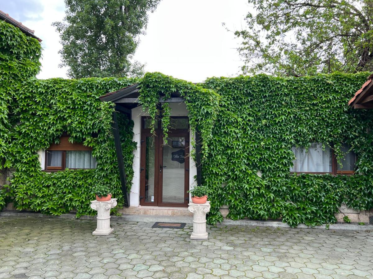 Vila Toscana Timisoara Bagian luar foto